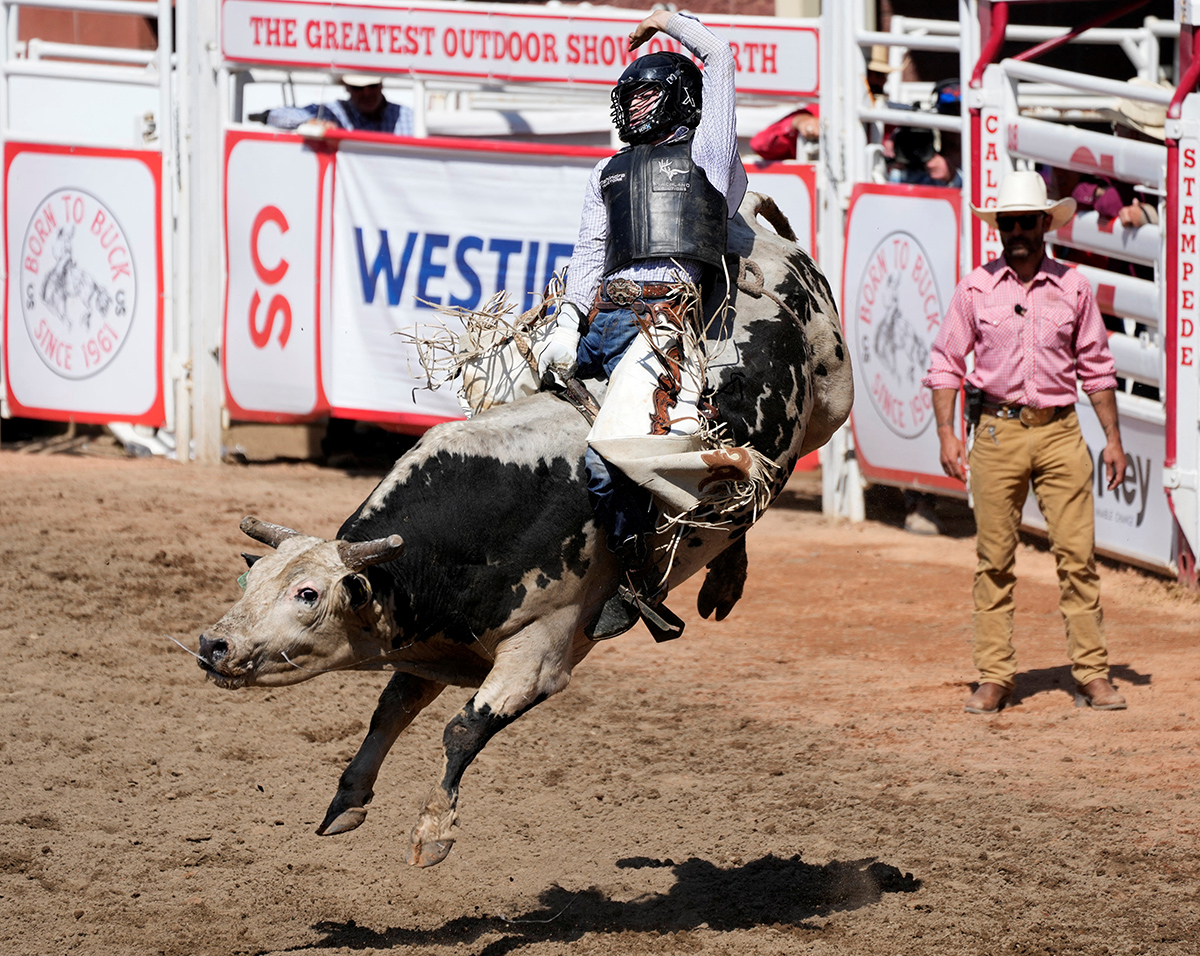 Calgary Stampede Канада Ковбої Родео Фестиваль Фото 