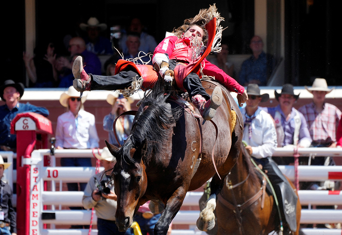 Calgary Stampede Канада Ковбої Родео Фестиваль Фото 