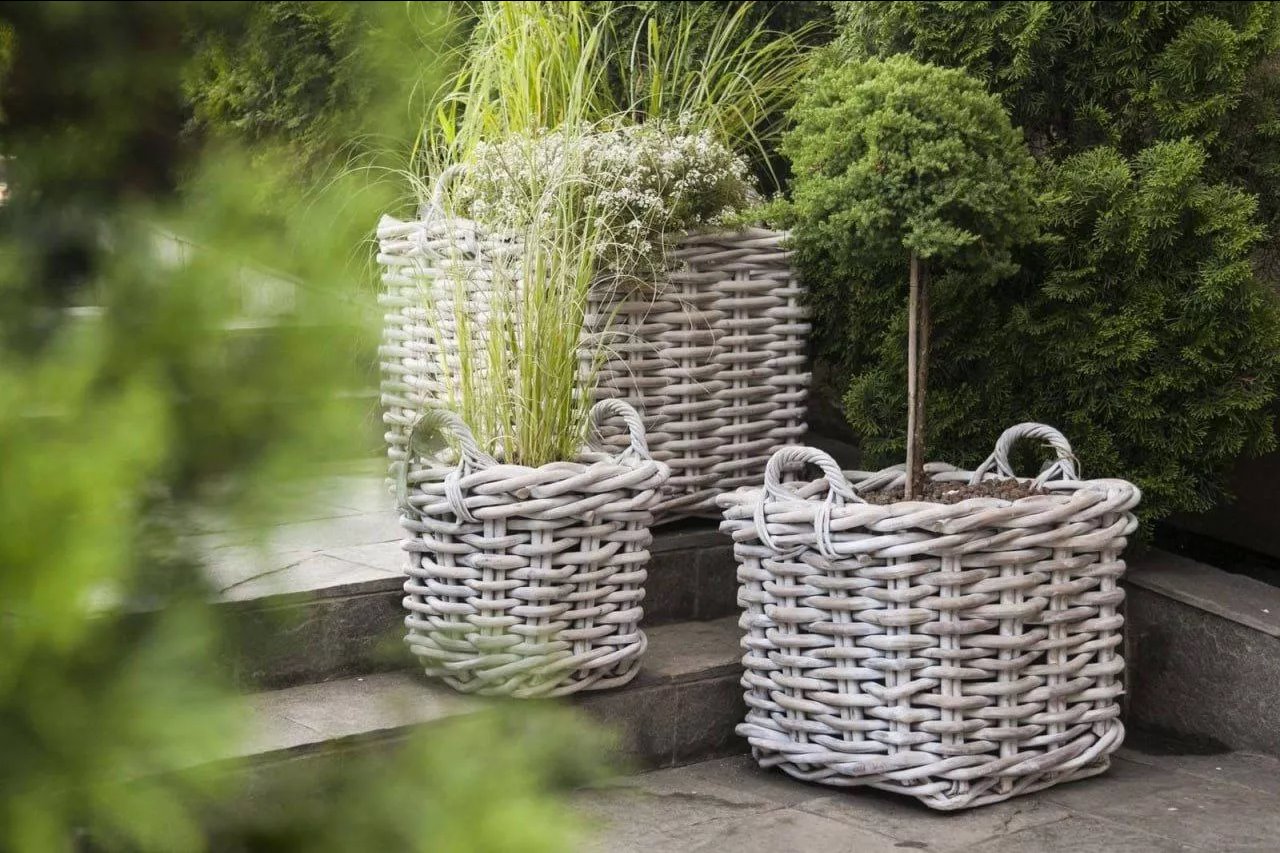 Полимерная лоза – инновационный материал для садоводства (ФОТО) Фото: Телеграмм-канал «Садовник»