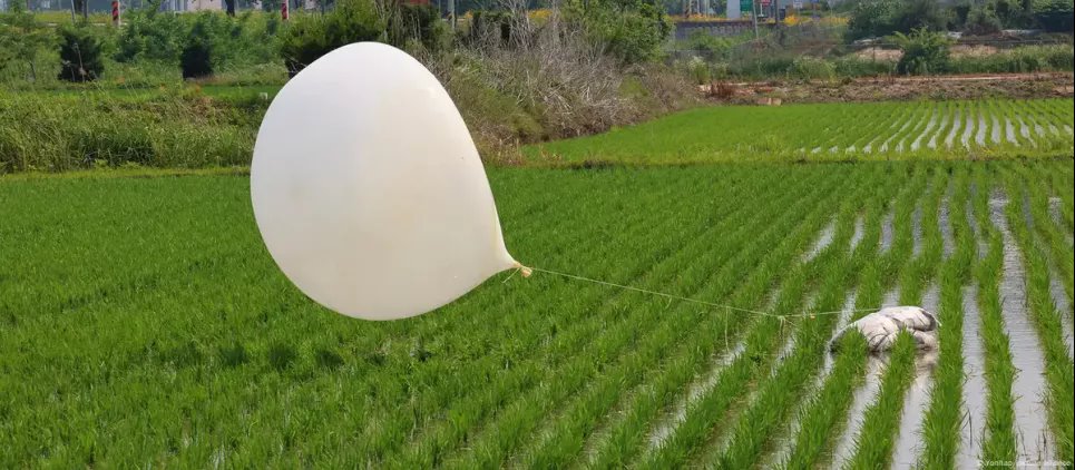 Запущенный КНДР воздушный шар на поле в Южной Корее. Фото: Yonhap/picture alliance