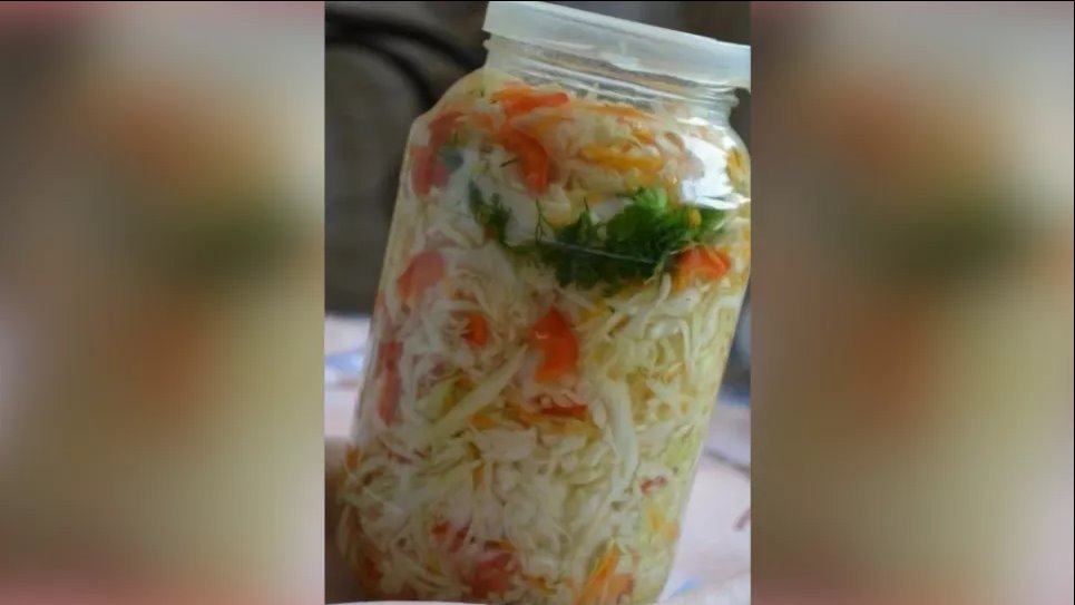 Салат капустный в горячем маринаде – простой рецепт вкусной заготовки на зиму. Фото: Телеграмм-канал «Дача. Сад и огород»