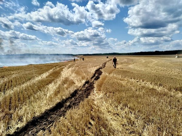 1 серпня Ціна хліба в Україні чернігівська область Пожежа на полі