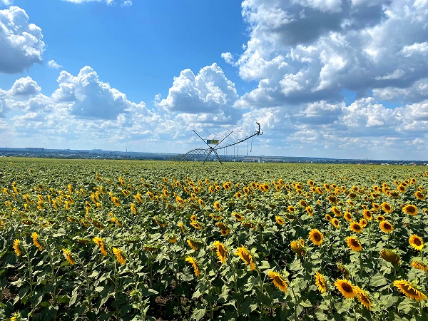 У південних регіонах країни триває активна фаза зрошувального періоду