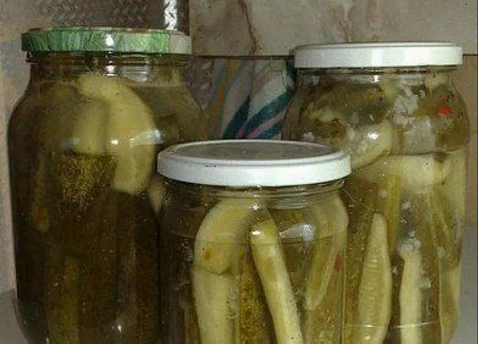 Огурчики – отличная закуска, особенно на зиму: бюджетный рецепт Фото: Телеграмм-канал «Дача. Сад и огород»