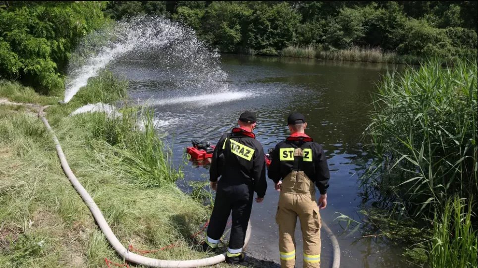 Рыба умирает тоннами: Польша борется с золотыми водорослями в притоках Одера Летом 2023 года пожарные закачивают кислород в боковой канал Одера для борьбы с ростом токсичных золотых водорослей. Фото: Кшиштоф Свидерский/dpa