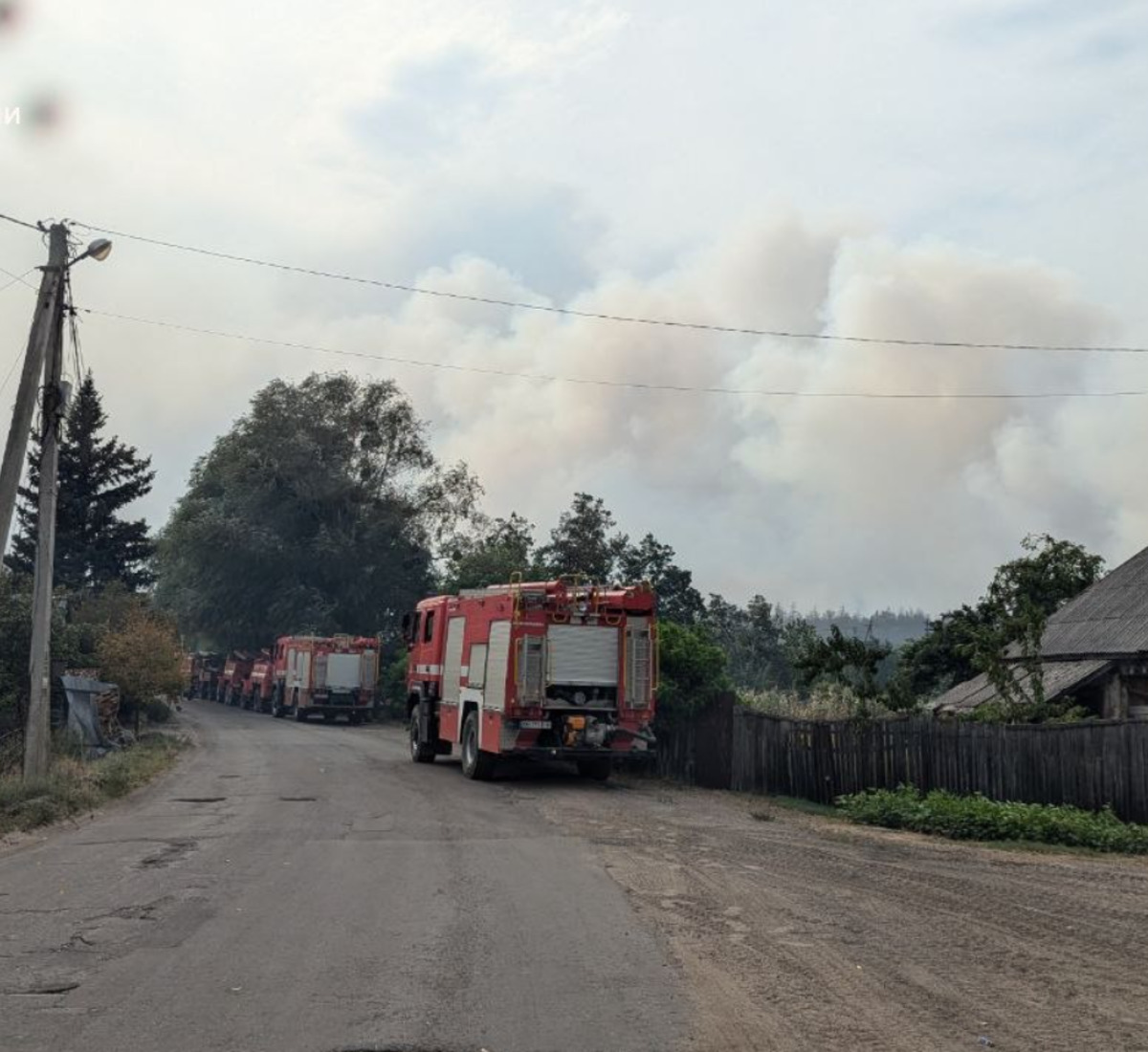 ФОТО: Лесной пожар на Харьковщине уничтожил пол села Студенок / ГСЧС