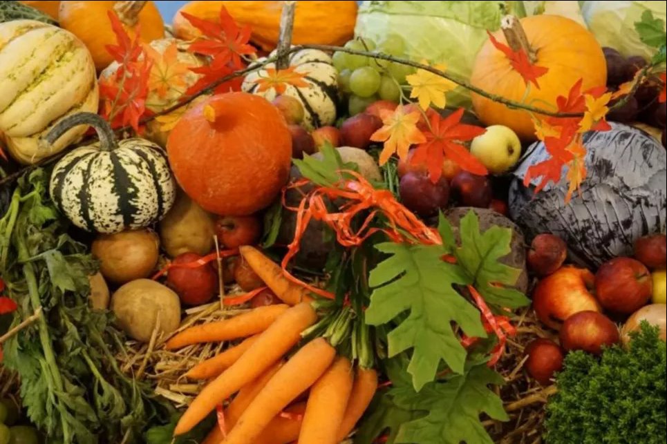 Какие продукты должны быть в рационе осенью: советует нутрициолог Фото: «Здоровые люди»