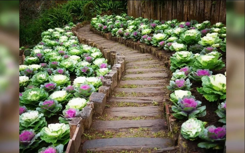 Эстетические варианты дачной дорожки, которые можно сделать своими руками Фото из открытых источников