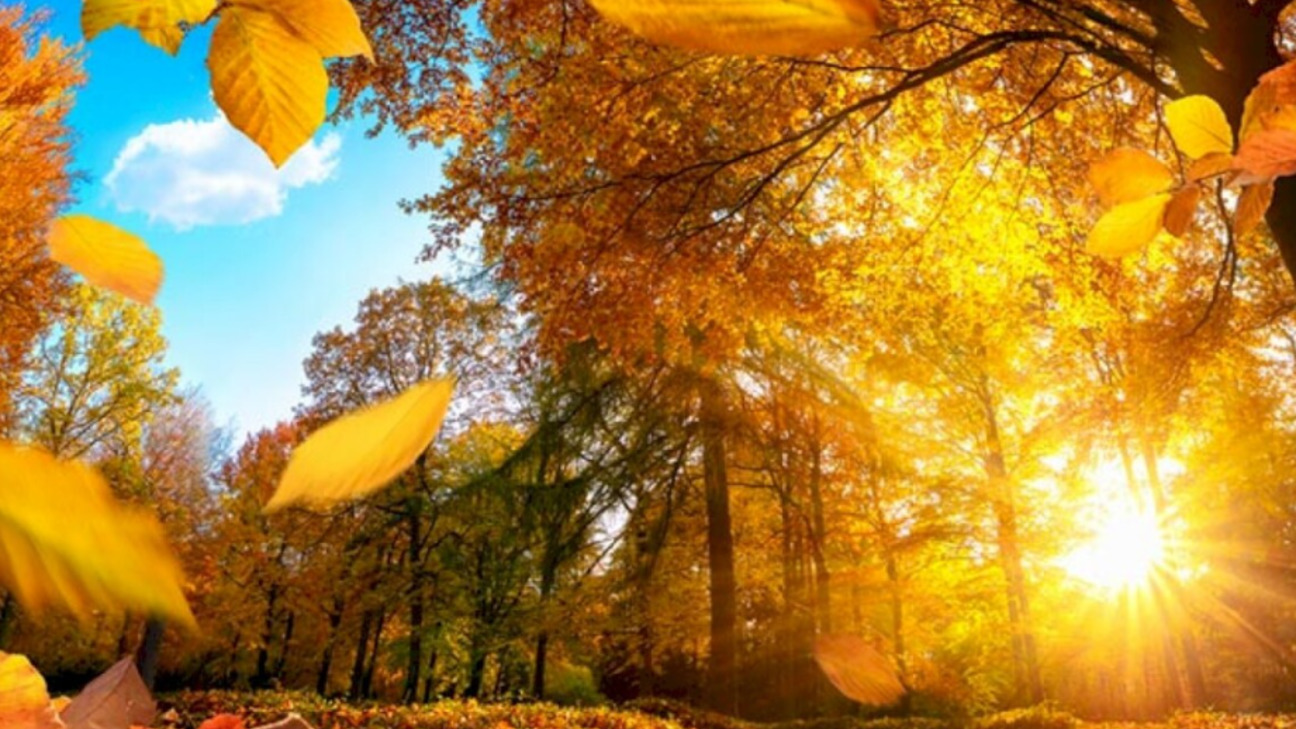 Сентябрь-2024 побил 143-летний температурный рекорд ФОТО: иллюстративное