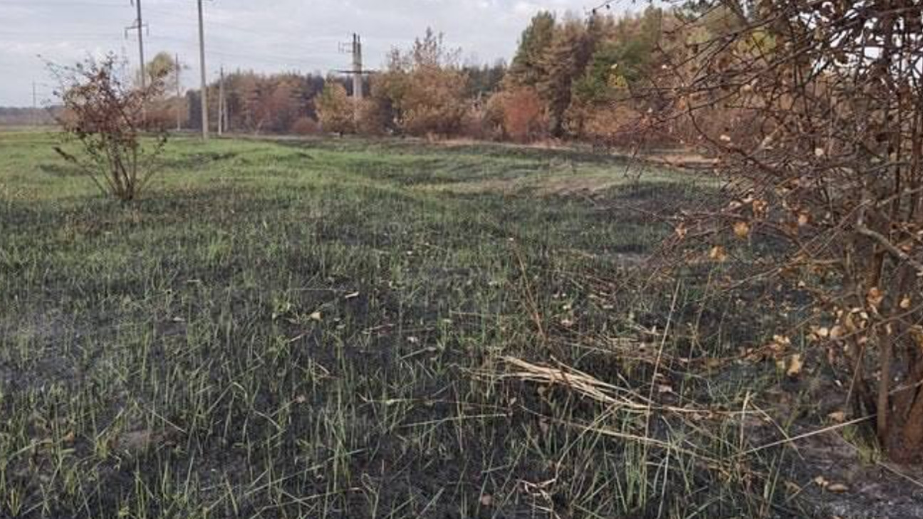 На Полтавщине лесной пожар уничтожил единственный в регионе ботанический заказник ФОТО: Ботанический заказник Малоперещепинский (Полтавщина)