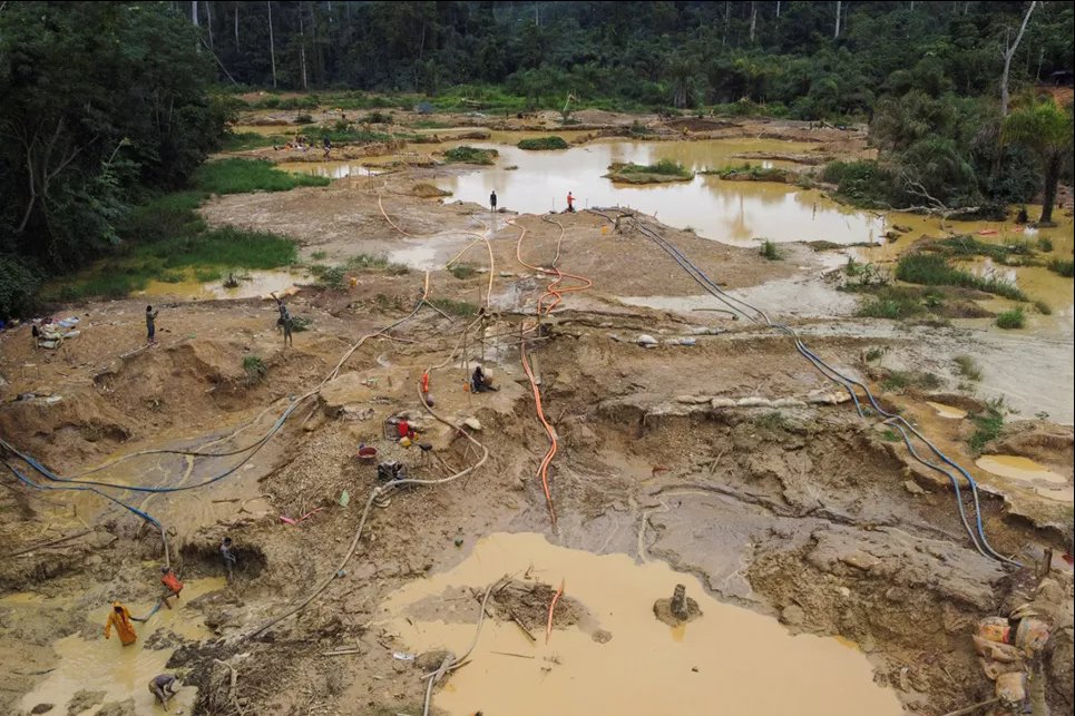 Металл-убийца: вот в каких ужасных условиях люди работают на нелегальном золотом руднике в Африке (ФОТО) Нелегальные старатели ищут золото в вымытых ямах в муниципальном округе Престей-Хуни Уоллеи в Западной области Ганы, 17 августа 2024 года. Фото: Reuters
