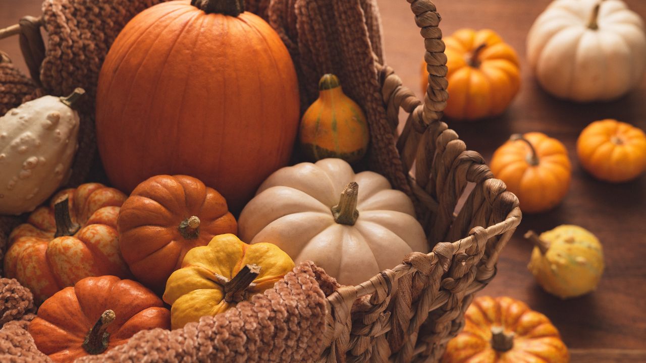 Ягода – не ягода, овощ – не овощ: за что американцы так любят тыкву? ФОТО: Тыква / spadok.org.ua