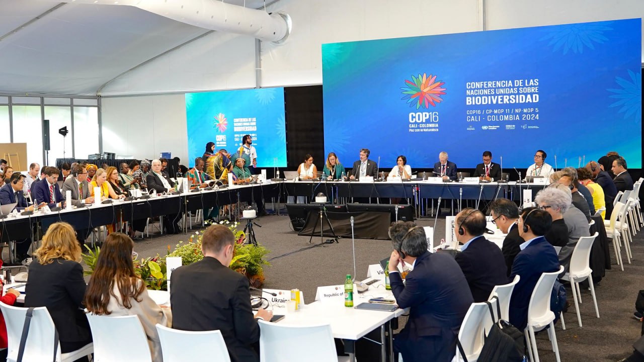 COP16 в Колумбии: Украина активно участвует в глобальной конференции по биоразнообразию ФОТО: Делегация Украины на Конференции ООН по биоразнообразию-2024
