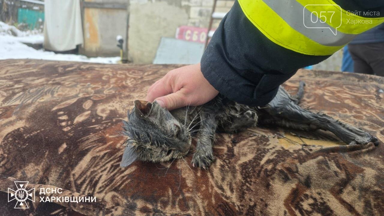 Спасли котика и несовершеннолетнего: в Харьковской области в пожаре погибли дедушка и 4 детей ФОТО: Последствия пожара в поселке Харьковской области / ГУ ГСЧС в Харьковской области