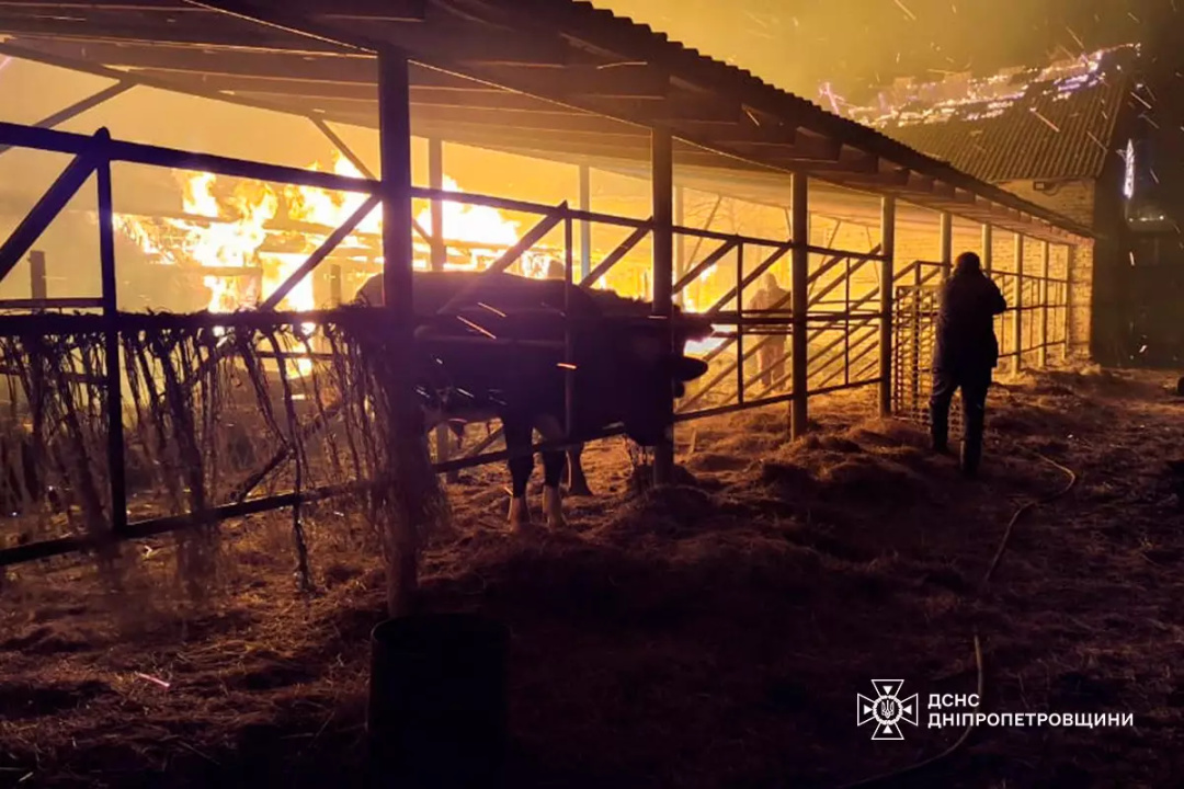 На Днепропетровщине сгорела конеферма: погибли более 140 животных ФОТО: Пожар на конеферме в Днепропетровской области / ГСЧС