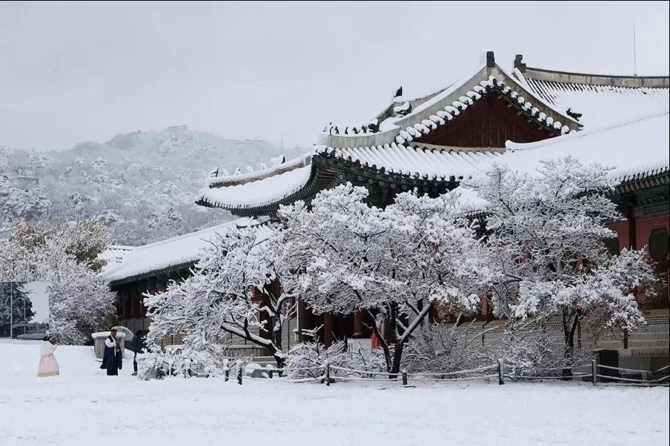 Снегопад назвали самым мощным с 1905 года: северо-восток Китая уже несколько дней страдает от вьюги (ВИДЕО) Фото из соцсетей