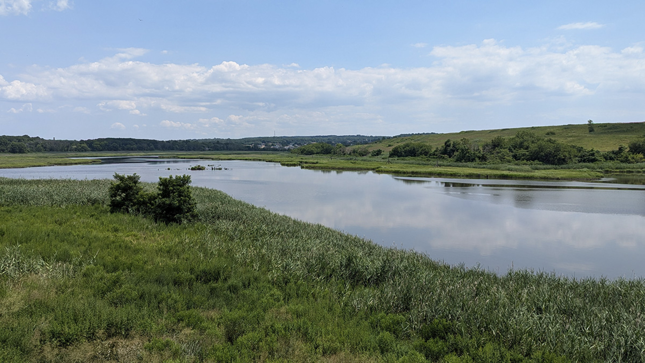 Екологічні проблеми Нью-Йорк Звалище Фрешкіллс Парк Фото