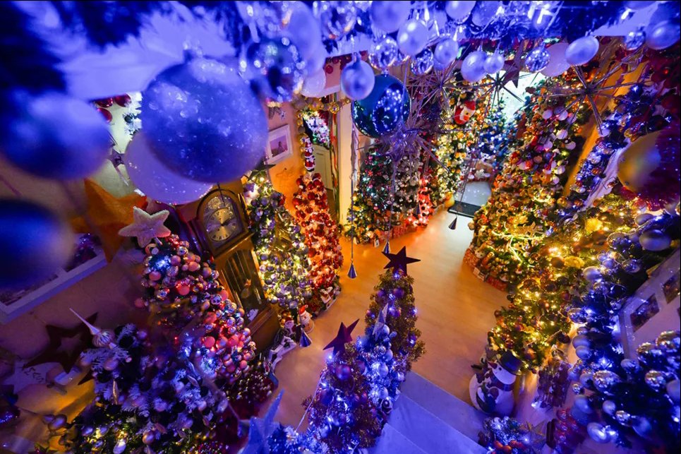 Даже в туалетах: семья установила дома более 600 елок – вот как выглядит их жилище Прихожая в доме Сюзанны и Томаса Еремина, украшенном 605 елками, Ринтельн, Германия, 3 декабря 2024 года. Фото: Reuters