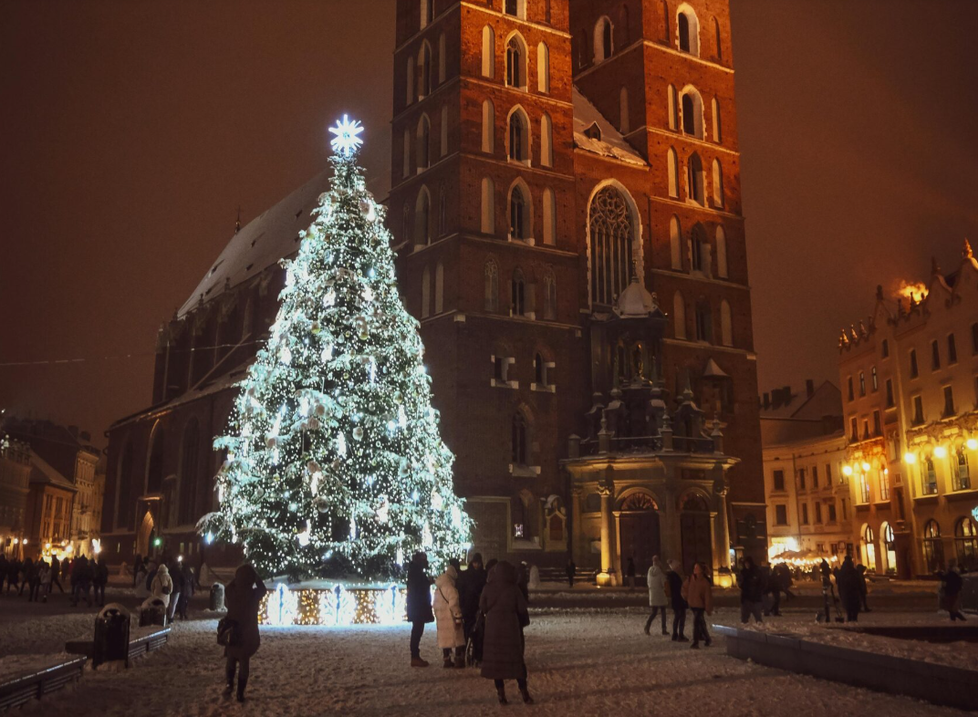Краковская новогодняя елка превзошла даже нью-йоркскую красоту. ФОТО: новогодняя елка-2024 в Кракове / inyourpocket.com