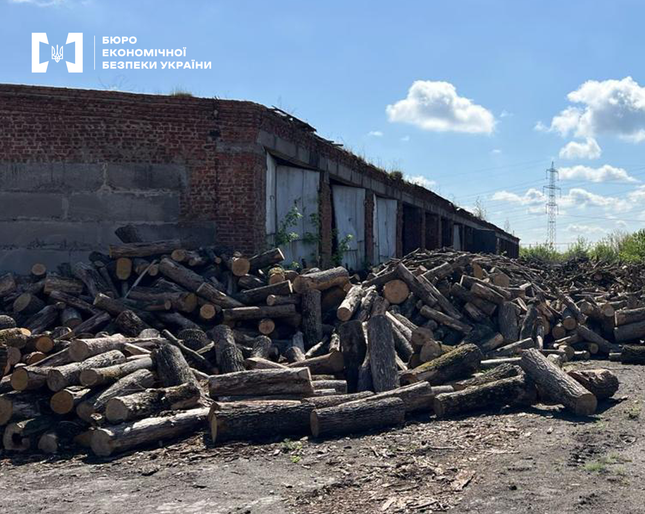 Закупівля дров для ЗСУ за завищеними цінами