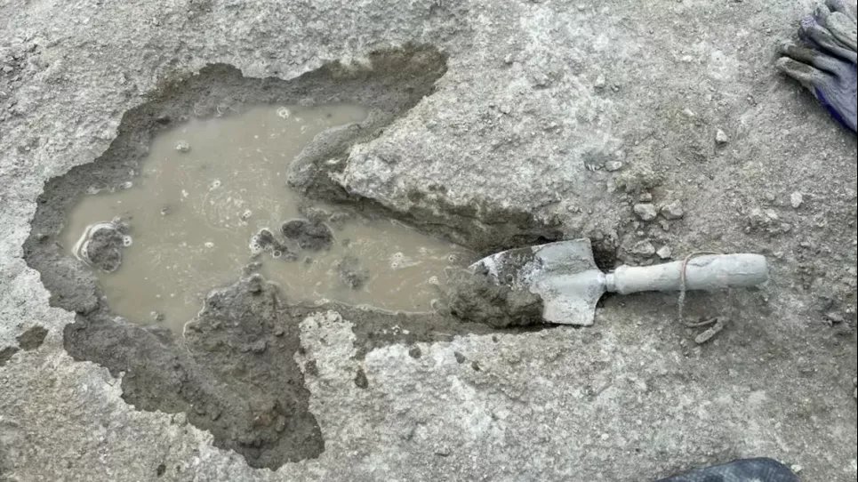 Своеобразный «автобан динозавров»: в Великобритании нашли следы ископаемых рептилий 166 млн лет Чрезвычайная находка: в Великобритании обнаружено более 200 следов динозавров. Фото: Музей естествознания Оксфордского университета