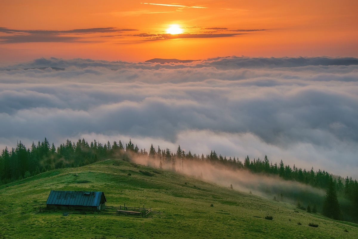 ФОТО: Карпатский биосферный заповедник / nationalparks.in.ua