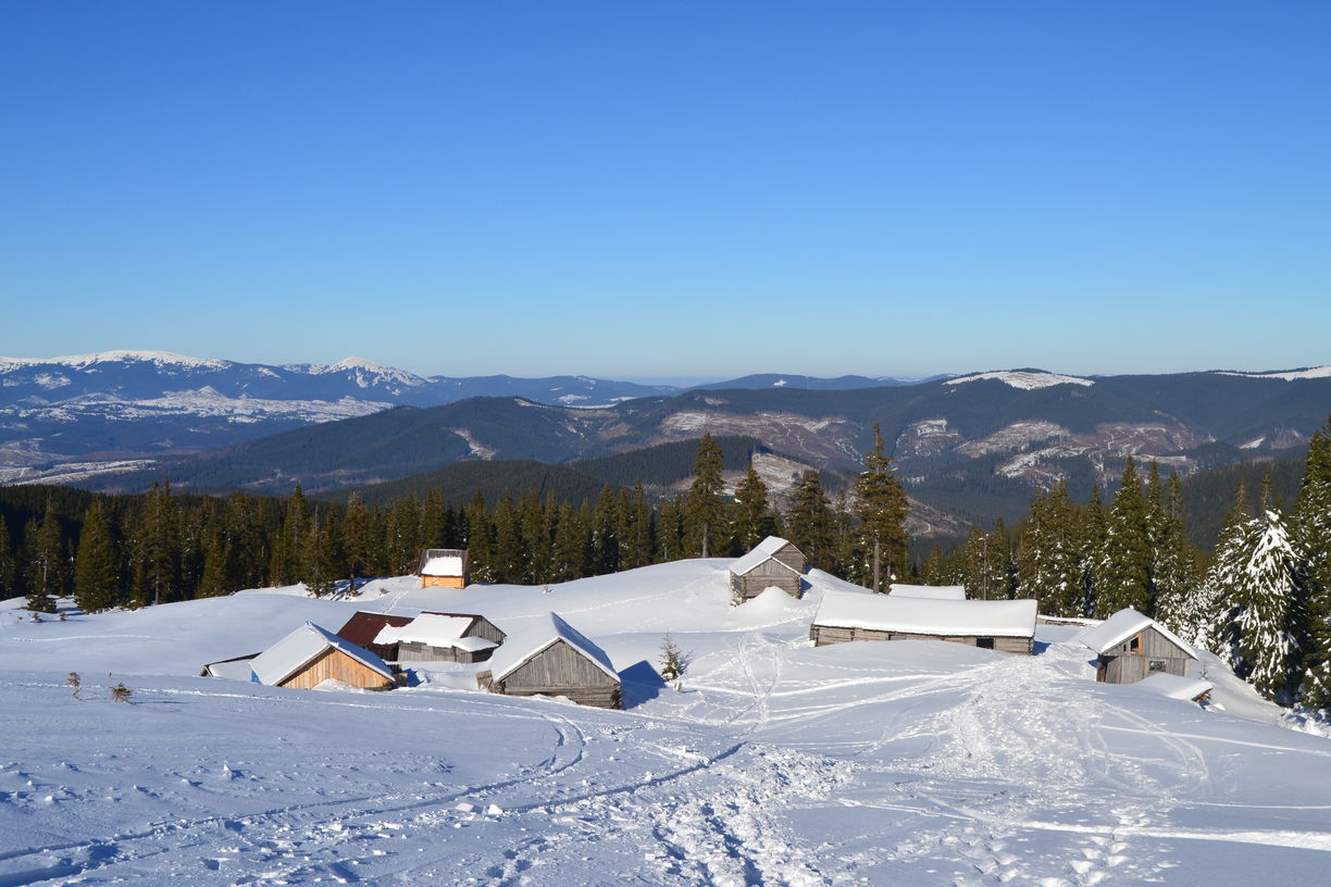 Три человека погибли в результате схода лавины во Франции Фото: Восточные Альпы (Франция) / AFP