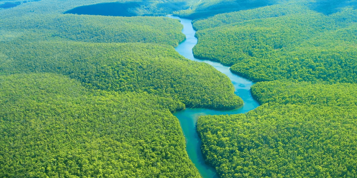 Фото: тропические леса Амазонки / ЕРА