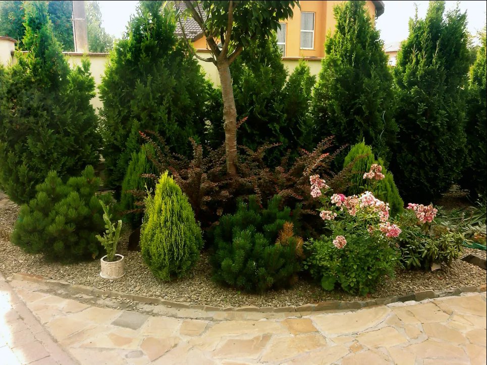 Создание растительных композиций в саду: как сочетать цвета и формы - простые и практичные советы Фото: Moysad