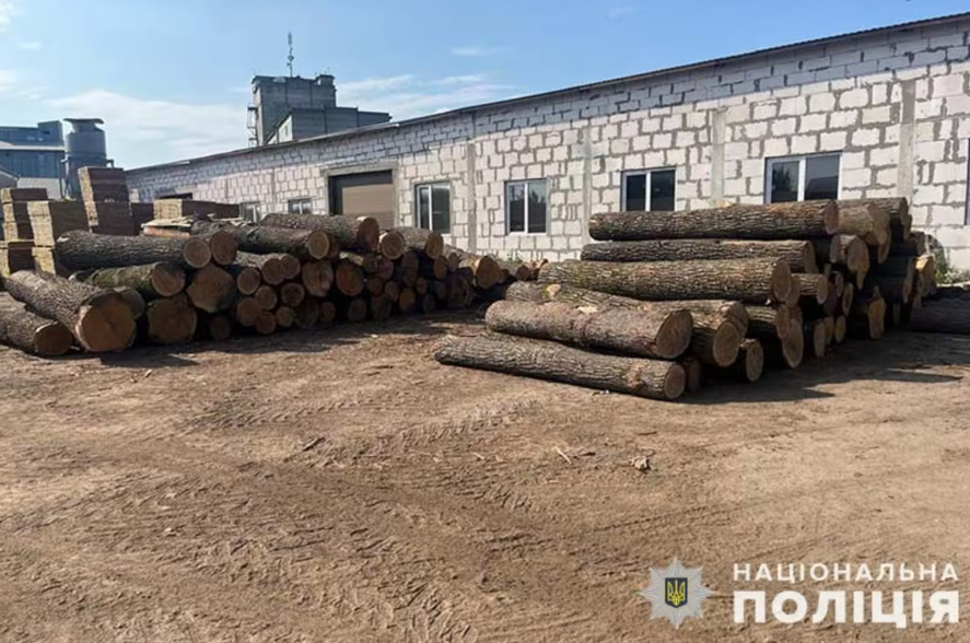 На Тернопільщині викрито злочинну групу, яка незаконно вирубала дуби на 3,3 мільйона гривень. Фото: Нацполіція