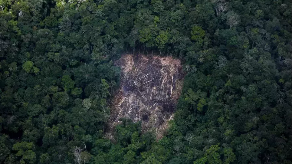 «Глобальный уровень тревоги»: уничтожение тропических лесов Амазонии снова растет Аэрофотосъемка вырубленного участка Амазонского тропического леса 2 февраля 2023 года. Фото: Michael Dantas/AFP/Getty Images