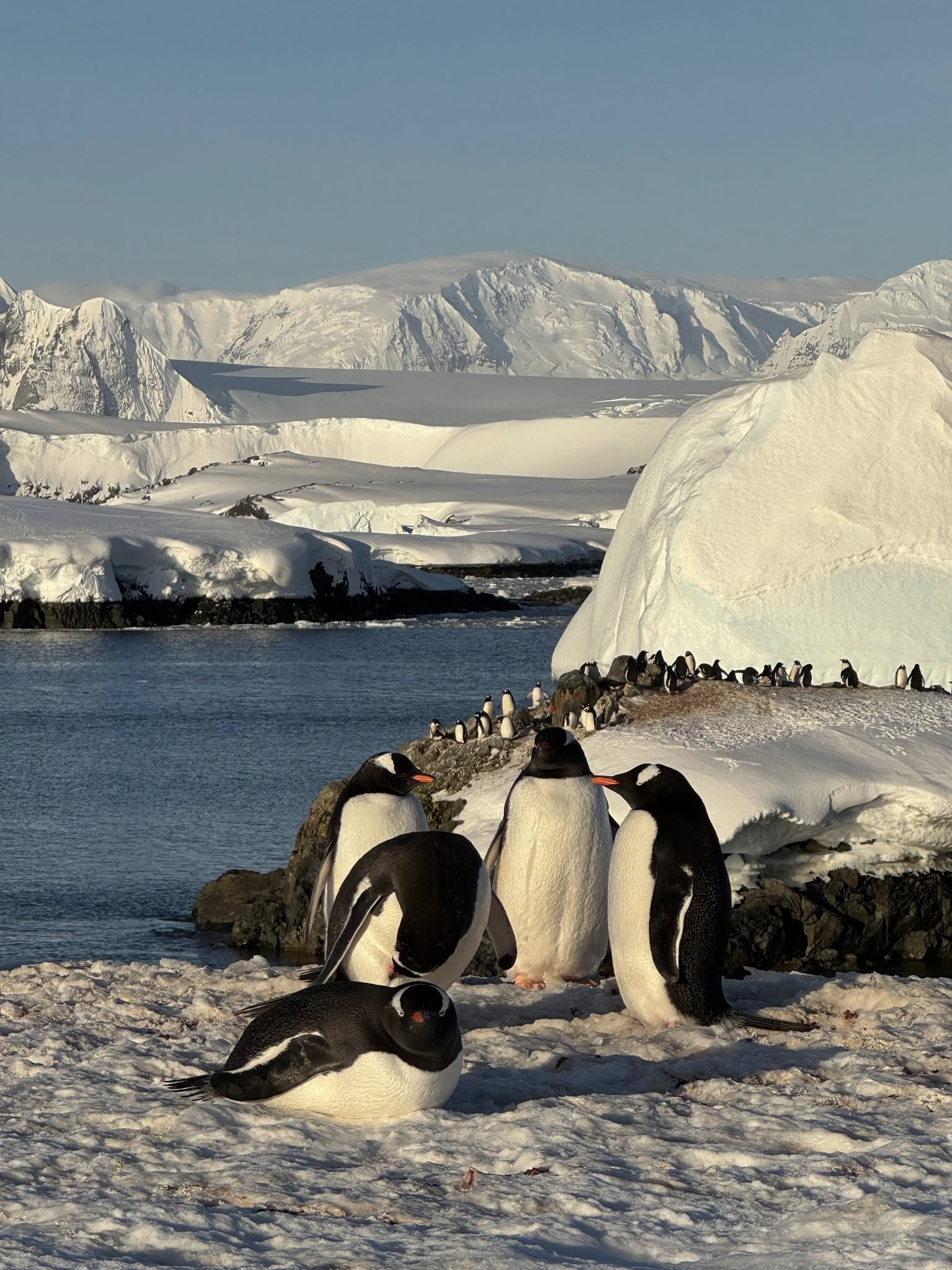 Украина остается в Антарктике: Кабмин продлил государственную научную программу до 2027 года