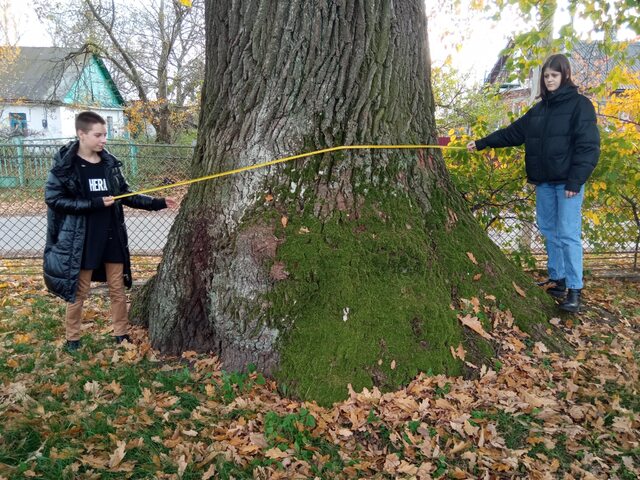 Голосування за 