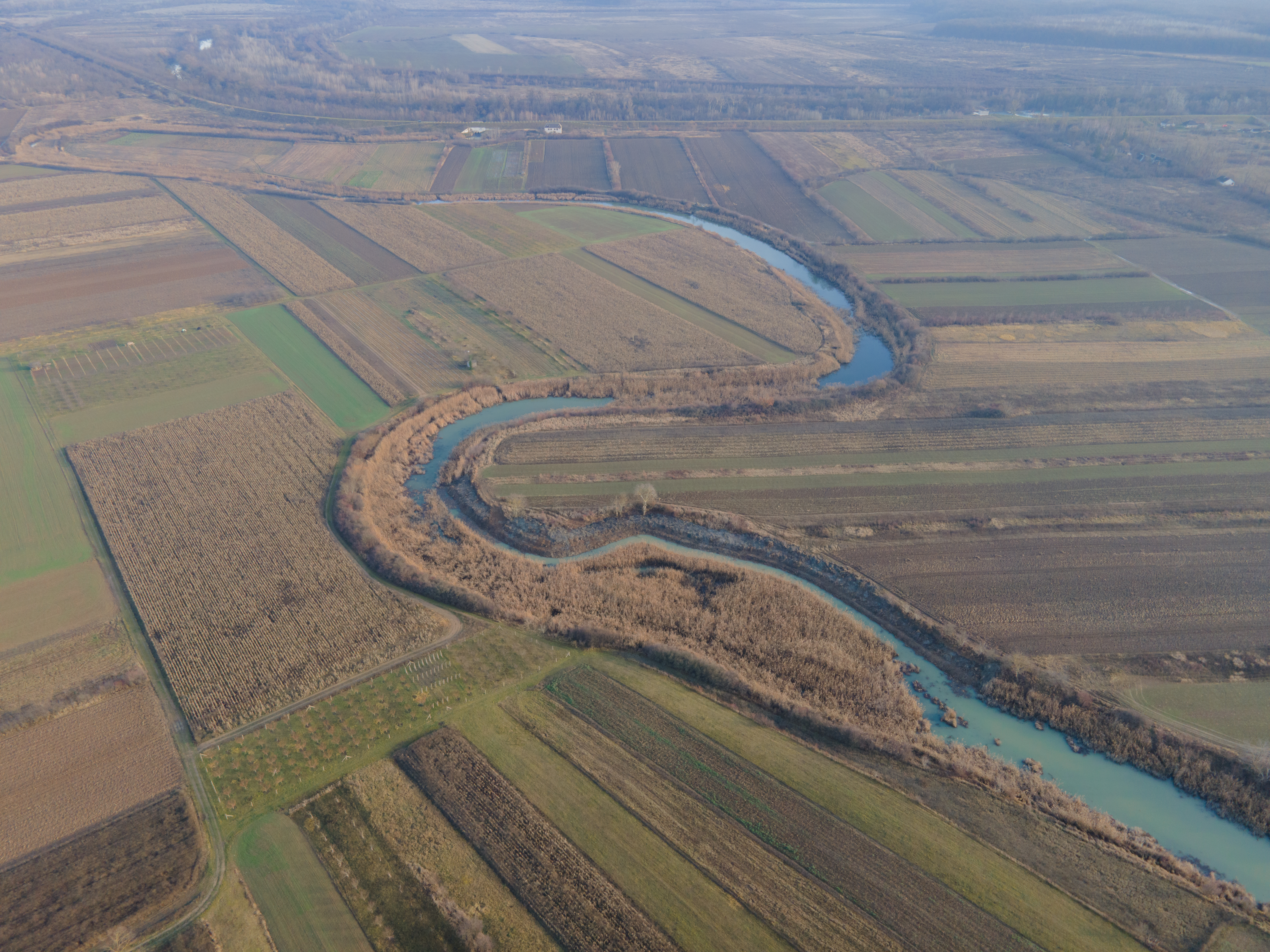 Фото: WWF-Украина
