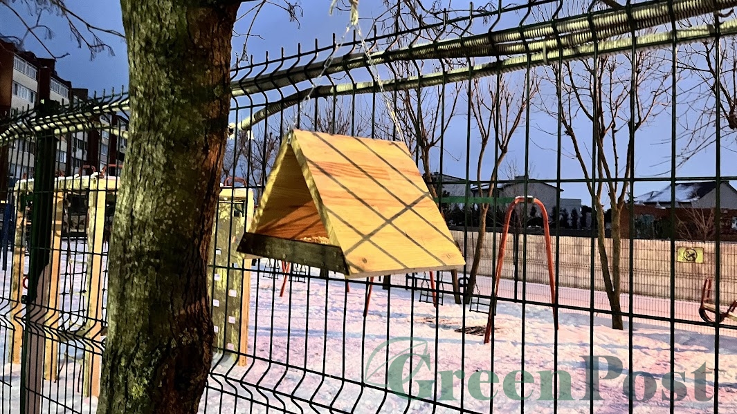 Як змайструвати ідеальну годівничку: 5 золотих правил, що врятують птахів взимку