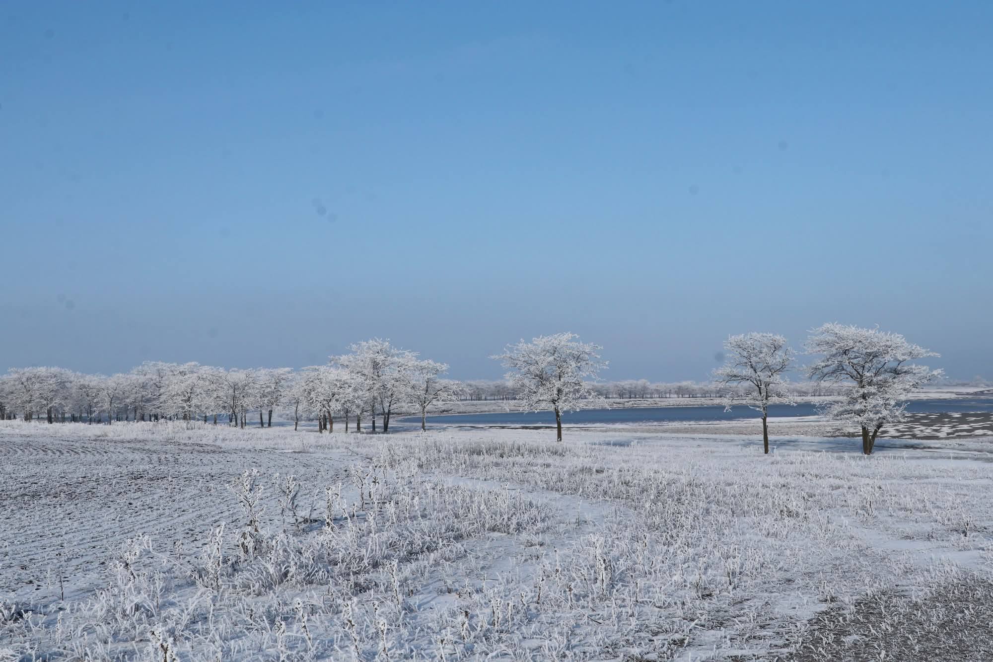 Зимові обліки птахів на лиманах Одещини: понад 20 тисяч особин попри морози