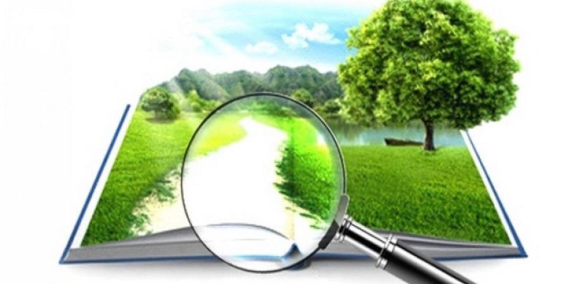 Факти проти міфів: що насправді відбувається з процедурою ОВД