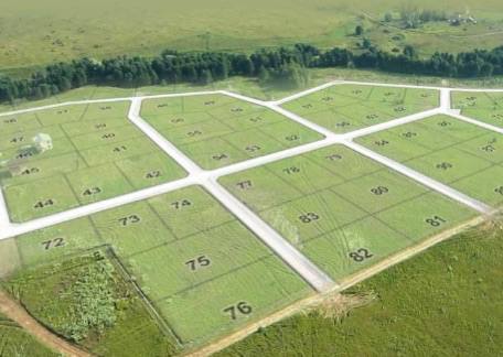 Факти проти міфів: що насправді відбувається з процедурою ОВД