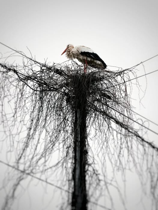 земля не чекає. Вода не чекає. Повітря - тим паче.