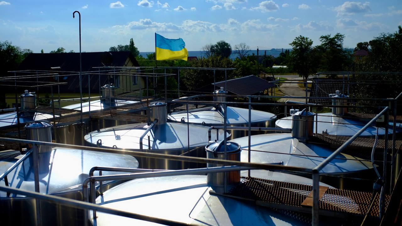 Сонце, посуха і степові вітри: чому вина з берегів Ялпугу мають особливий характер