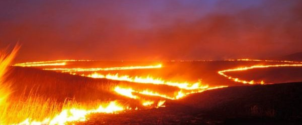 Спалювання трави еквівалентне 33 викуреним цигаркам на день