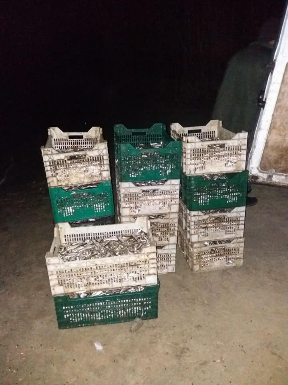 У Черкаській області водний патруль виявив порушників з уловом риби майже 300 кг