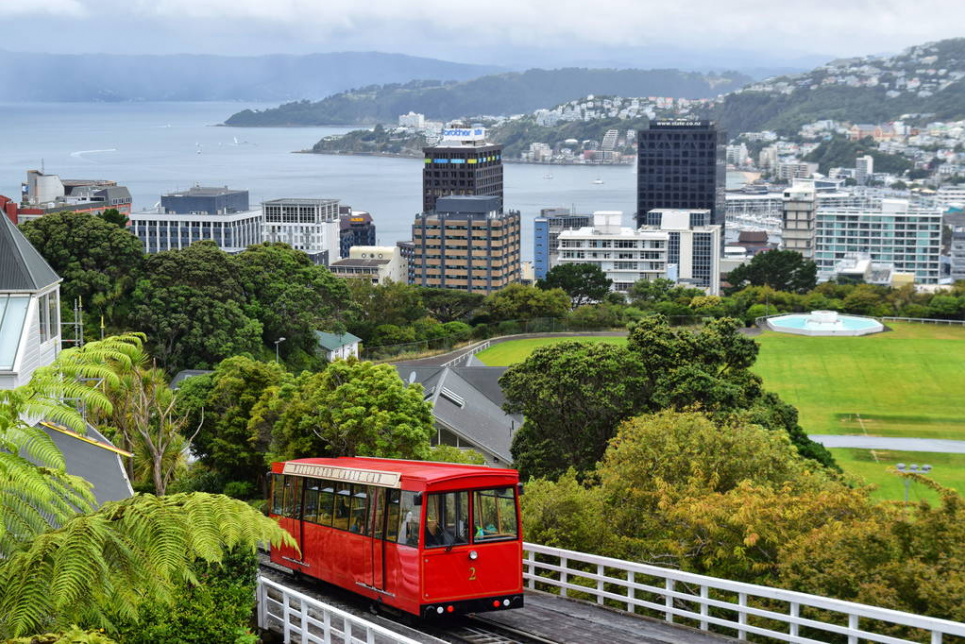 Нова Зеландія готується до 2050 року звести до нуля викиди вуглекислого газу