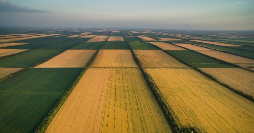 Українські аграрії почали сівбу цукрових буряків і соняшника