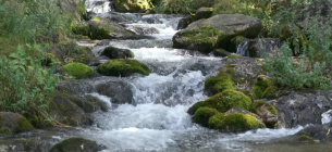 Скільки років потрібно воді, щоб очиститися: природний цикл відновлення ФОТО: ілюстративне