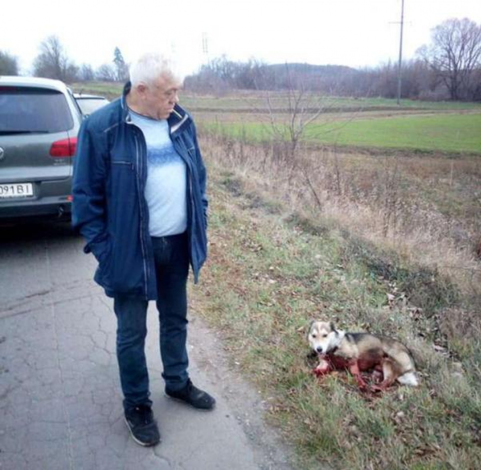 Хмельницький чиновник прив'язав собаку до машини та волочив її дорогою