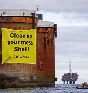 День народження Greenpeace 15 вересня: історія та внесок у довкілля