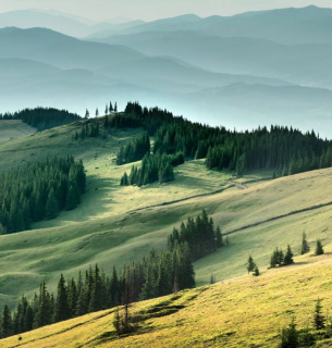 ФОТО: иллюстративное