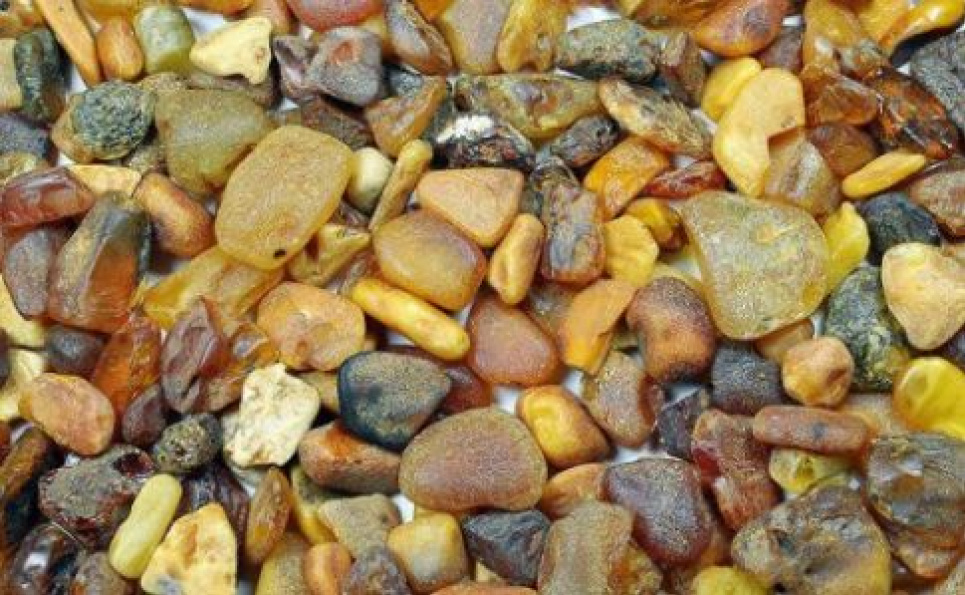 Обнаружено и изъято более 100 кг камней янтаря