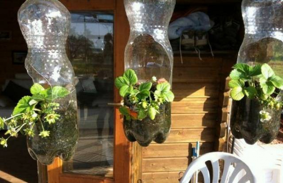 Zero Waste і повторне використання пластикової пляшки